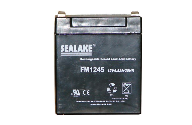 Batterie rechargeable 12v pour agrainoir Power Feeder