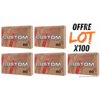 Lot munitions Hornady...