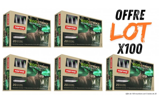 Lot munitions Norma Ecostrike 165g - Cal. 30-06 Sprg - X100 munitions