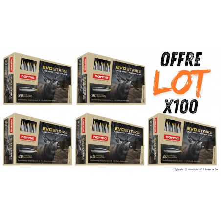Lot munitions Norma Evostrike 139g - Cal. 30-06 Sprg - X100 munitions