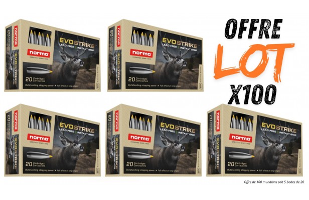 Lot munitions Norma Evostrike 139g - Cal. 30-06 Sprg - X100 munitions