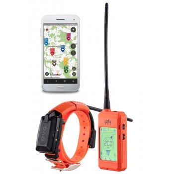 GPS et dressage DogTrace X30T