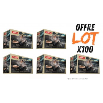 Lot munitions Norma Varmint...