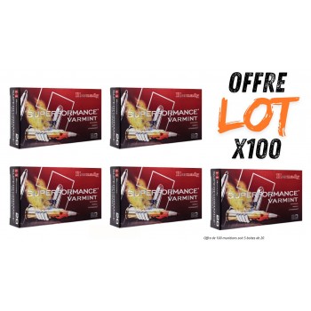 Lot munitions Hornady...