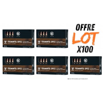 Lot munitions RWS...