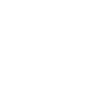 icon de service client
